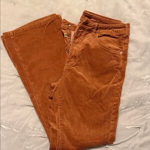 Pilcro Rust Corduroy Flare Pants